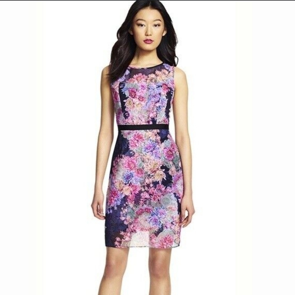 Adrianna Papell Sheer Floral Dress